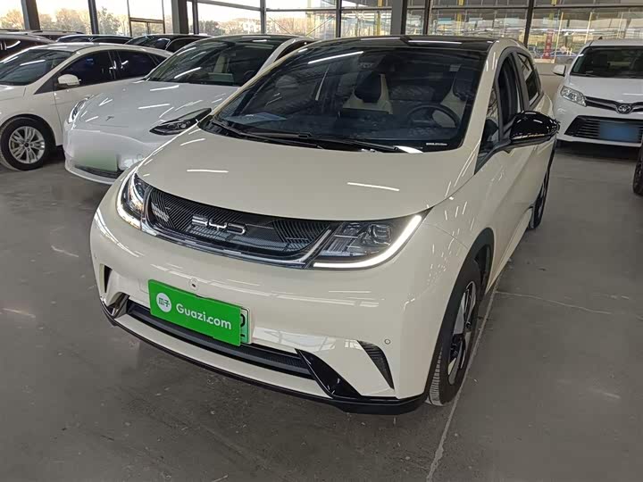 Фото 2 - BYD Dolphin