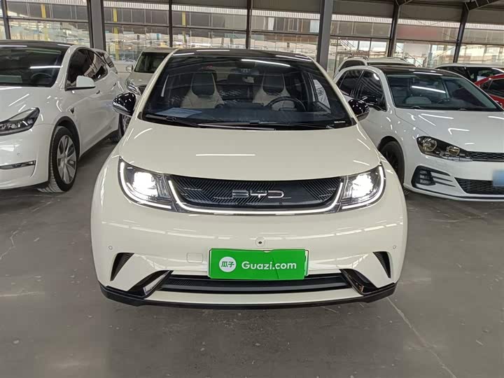 Фото 3 - BYD Dolphin