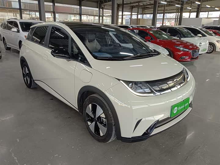 Фото 4 - BYD Dolphin