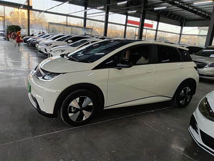 Фото 5 - BYD Dolphin