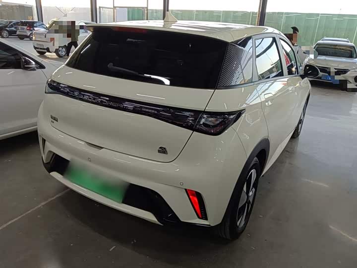 Фото 7 - BYD Dolphin