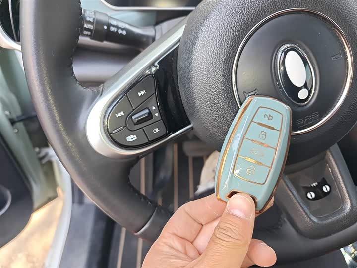 Фото 9 - Ora Black Cat