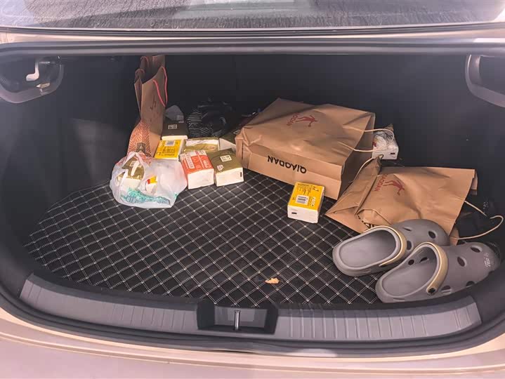 Фото 4 - Volkswagen Sagitar L