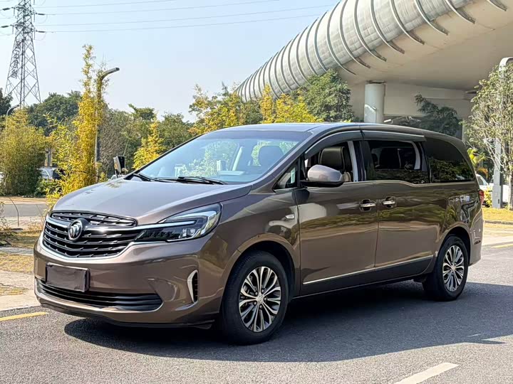 Фото 1 - Buick GL8 ES