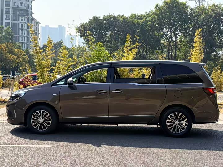 Фото 7 - Buick GL8 ES