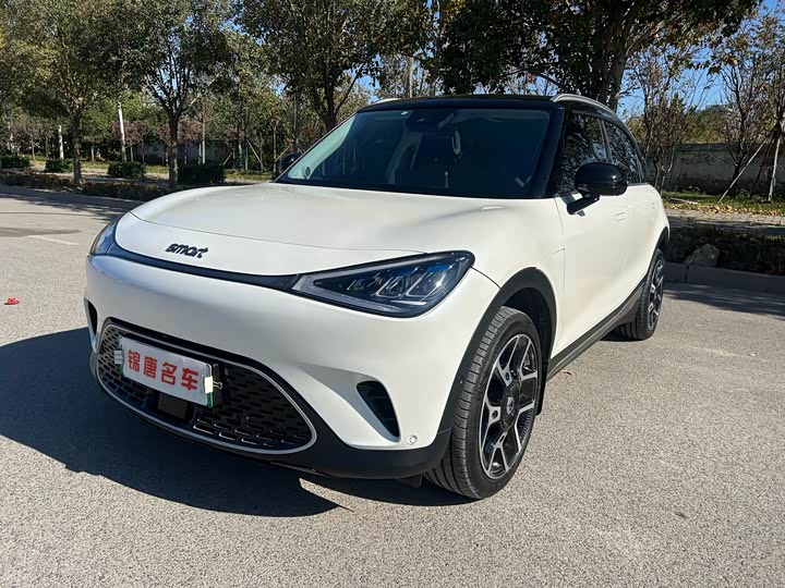 Фото 3 - Smart #1