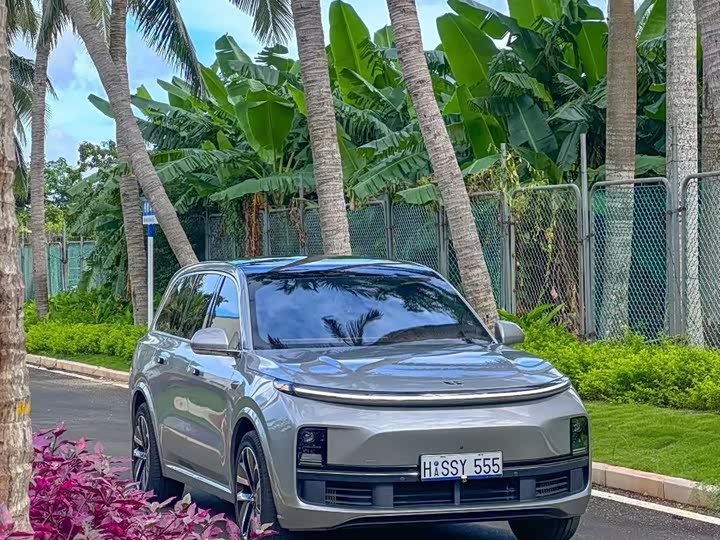 Фото 3 - LiXiang L9