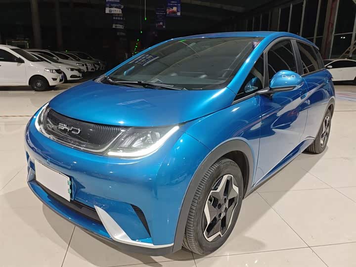 Фото 2 - BYD Dolphin