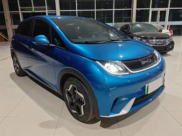 Фото 4 - BYD Dolphin