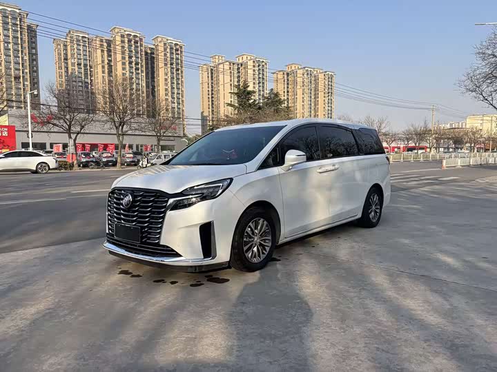 Фото 1 - Buick GL8 ES