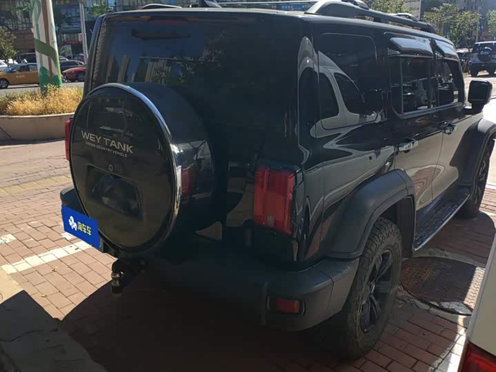 Фото 3 - Tank 300