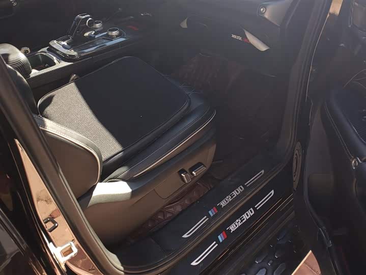 Фото 8 - Tank 300