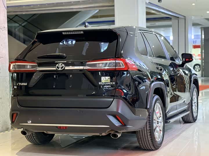 Фото 6 - Toyota Wildlander