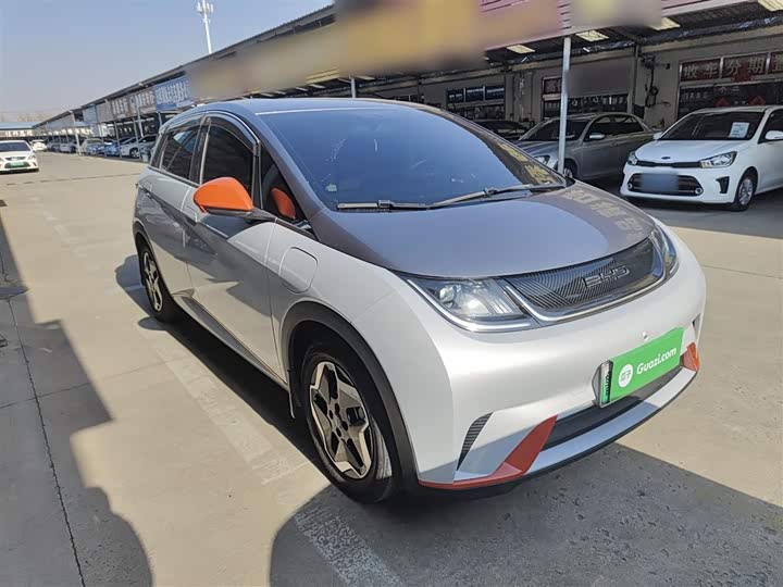 Фото 4 - BYD Dolphin