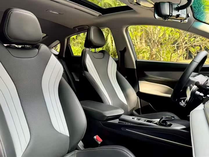 Фото 8 - Geely Binrui