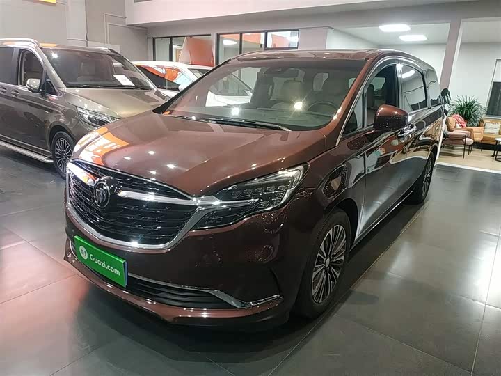 Фото 1 - Buick GL8 ES