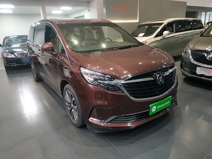 Фото 4 - Buick GL8 ES