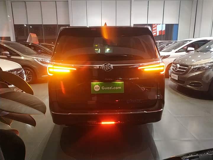 Фото 6 - Buick GL8 ES