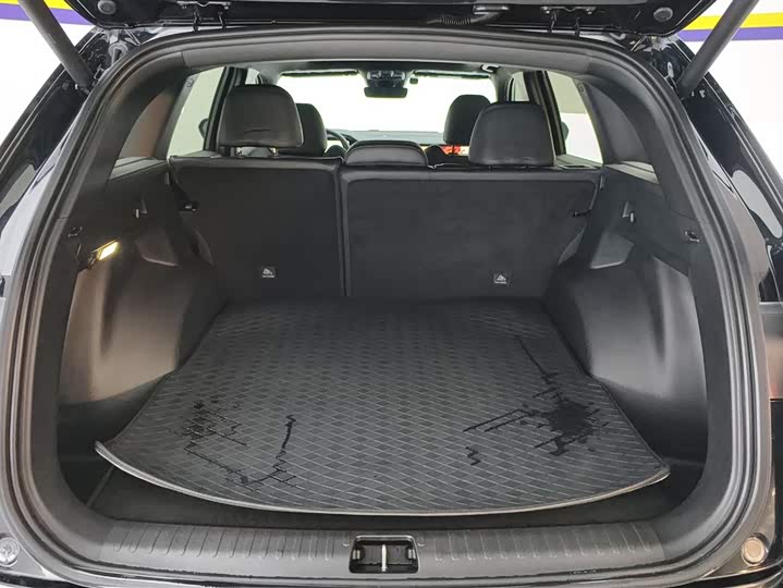 Фото 4 - Geely Monjaro