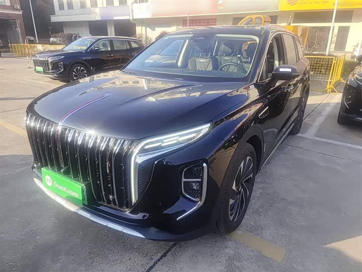Фото 1 - Hongqi HS7 Hybrid