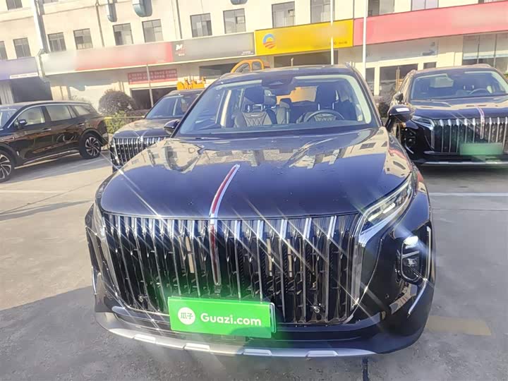 Фото 3 - Hongqi HS7 Hybrid