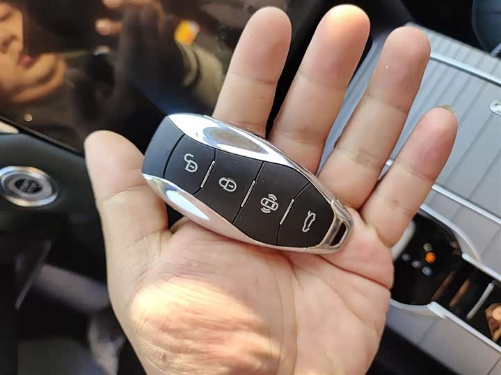 Фото 9 - Hongqi HS7 Hybrid