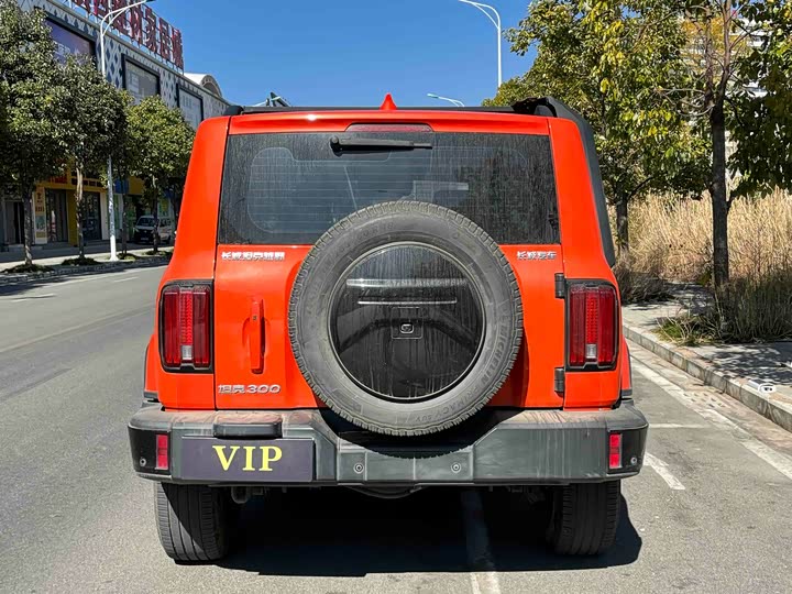 Фото 9 - Tank 300