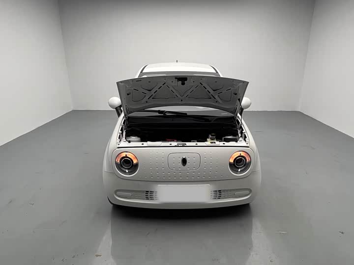 Фото 9 - Ora Black Cat