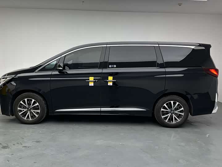 Фото 7 - GAC Trumpchi M8