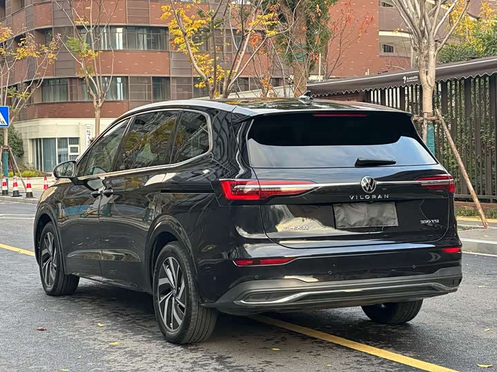 Фото 5 - Volkswagen Viloran