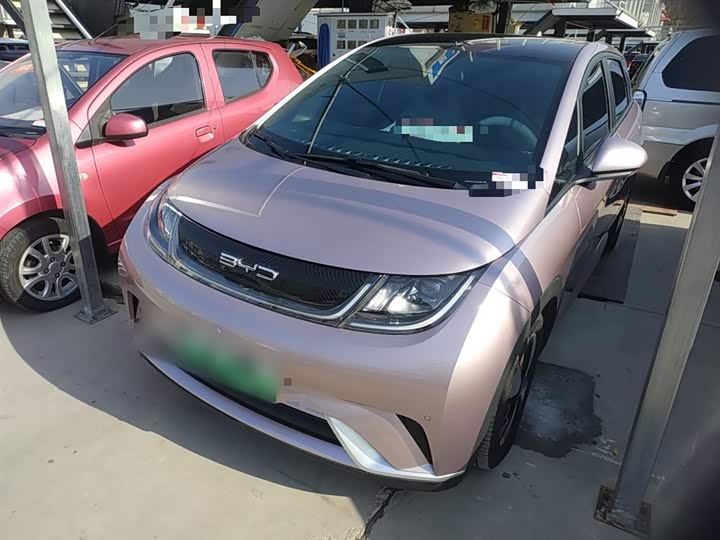 Фото 1 - BYD Dolphin