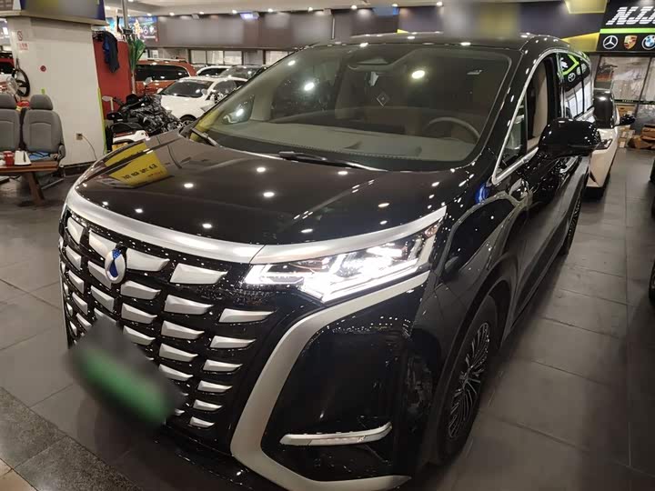 Фото 2 - Denza D9