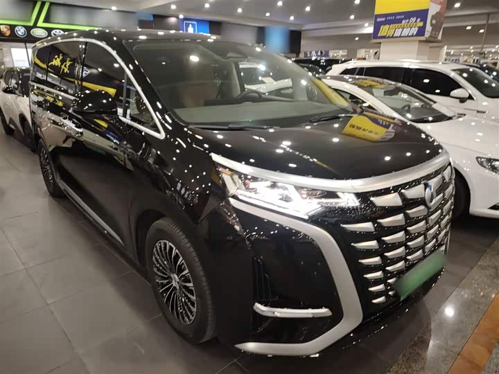 Фото 4 - Denza D9