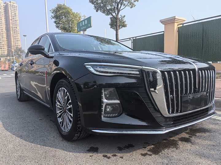 Фото 3 - Hongqi H5