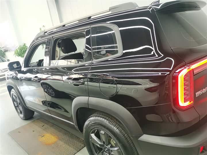 Фото 5 - Haval Dargo