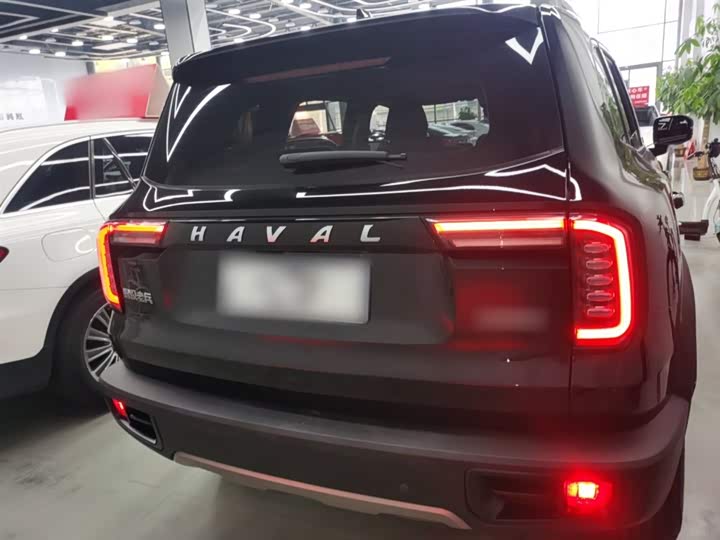 Фото 6 - Haval Dargo