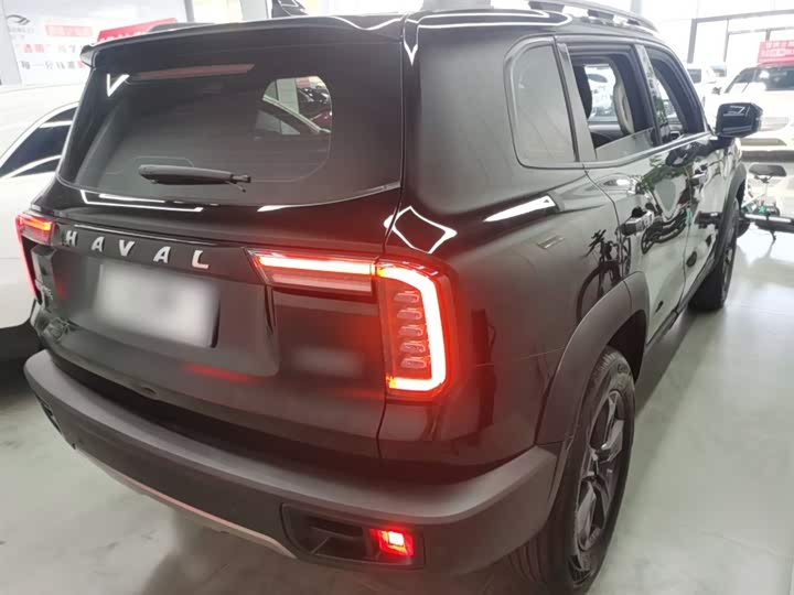 Фото 7 - Haval Dargo