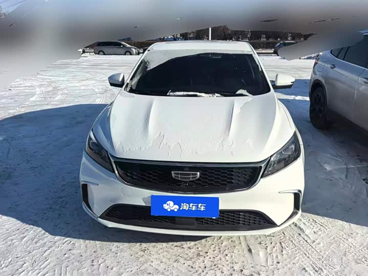 Фото 2 - Geely Binrui