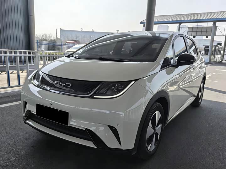 Фото 1 - BYD Dolphin
