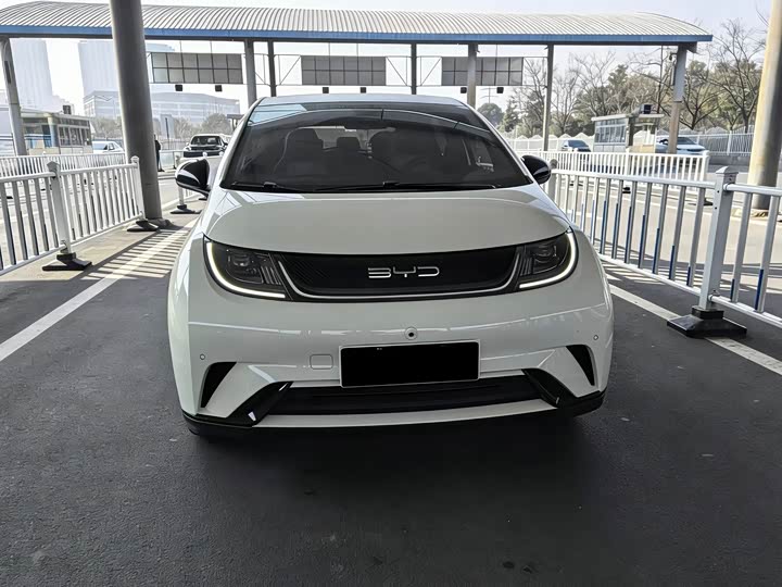 Фото 2 - BYD Dolphin