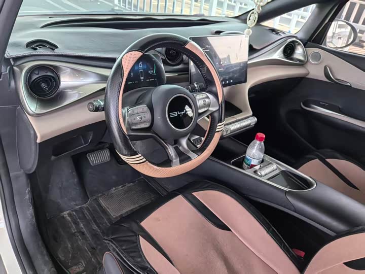 Фото 4 - BYD Dolphin