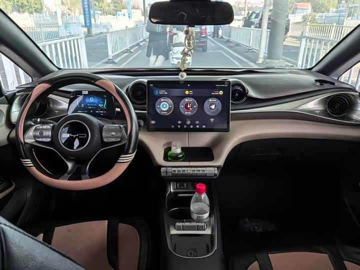 Фото 6 - BYD Dolphin