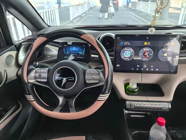 Фото 7 - BYD Dolphin