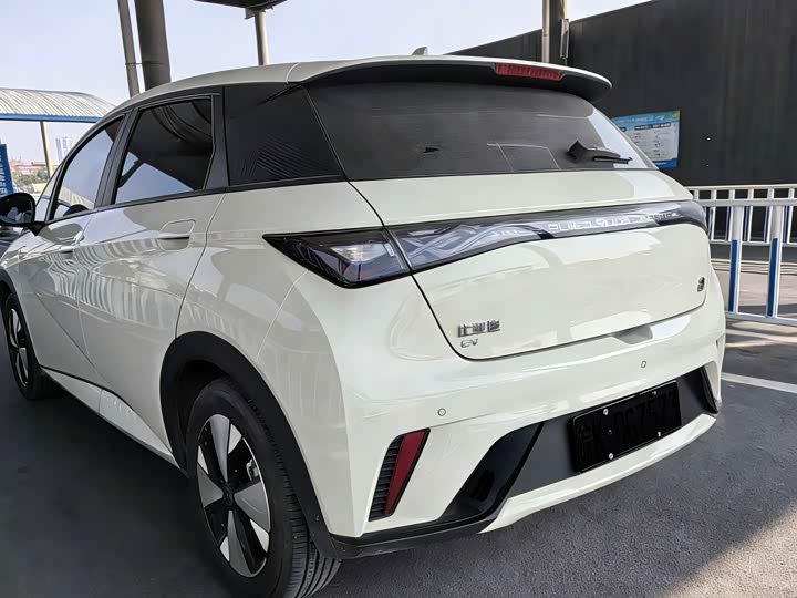 Фото 9 - BYD Dolphin