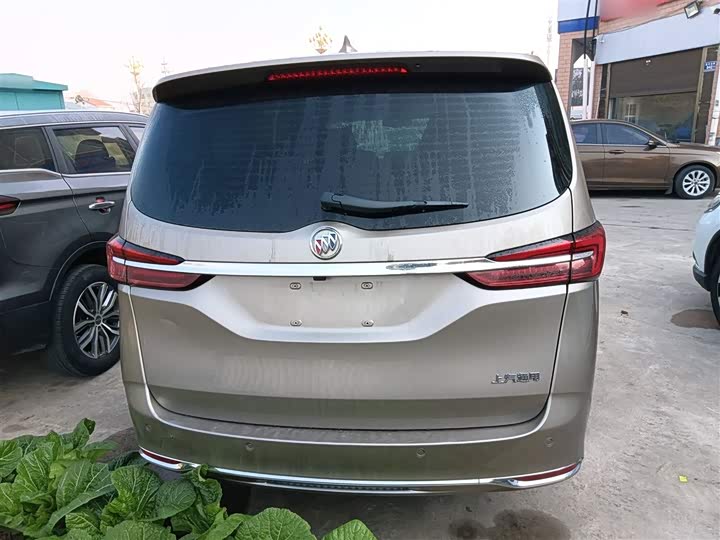 Фото 6 - Buick GL8 ES