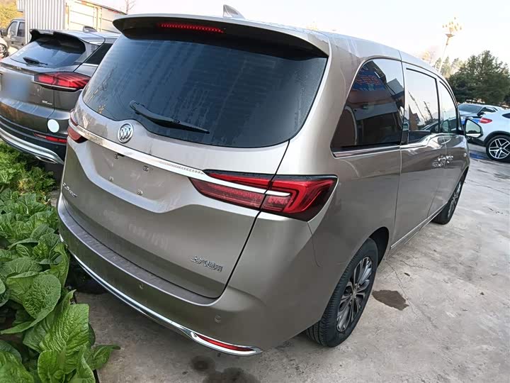 Фото 7 - Buick GL8 ES