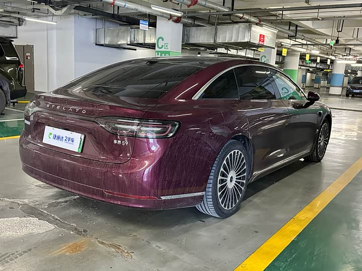 Фото 3 - Stelato S9