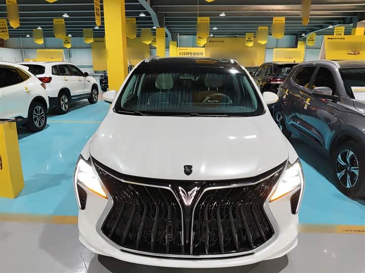 Фото 3 - Dongfeng Forthing Yacht