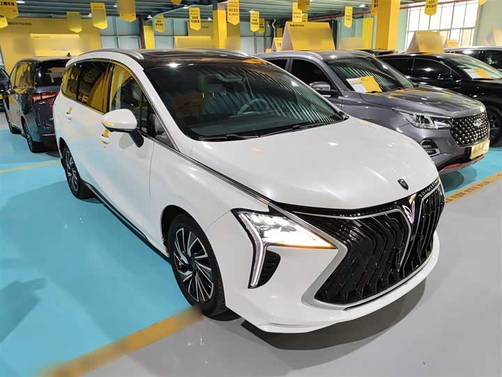 Фото 4 - Dongfeng Forthing Yacht