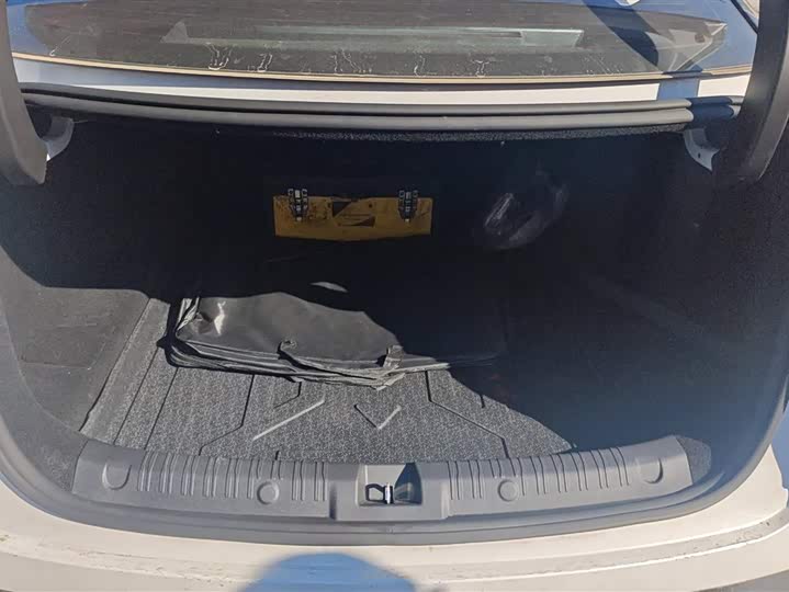 Фото 4 - BYD Qin L